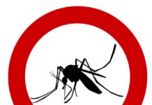 Trwa odkomarzanie gminy