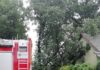 Drzewo runęło na budynek – FOTO