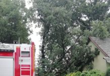 Drzewo runęło na budynek – FOTO