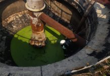 Strażacy uratowali małego kotka – FOTO