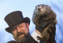 Słynny świstak nie zobaczył swojego cienia…