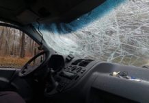 Drzewo przygniotło samochód