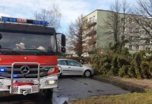 Strażacy OSP interweniowali w związku z usuwaniem skutków silnego wiatru – ZDJĘCIA!