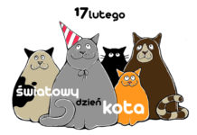 17 lutego – Światowy Dzień Kota