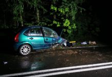 Samochód osobowy uderzył w drzewo