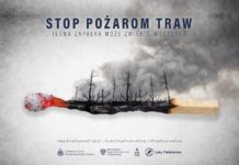 Coraz więcej pożarów łąk i nieużytków. Strażacy apelują o rozsądek