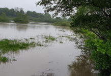 Odwołany alarm przeciwpowodziowy na terenie naszego powiatu