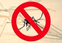 Trwa akcja odkomarzania