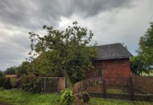 Strażacy usuwają skutki burzy, która przeszła przez gminę