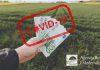 Ruszyła pomoc dla rolników poszkodowanych przez Covid-19