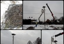 Nowe bocianie gniazdo przy ul. Jaźnik