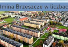 Gmina Brzeszcze w liczbach