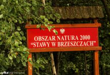 Dzikie wysypisko śmieci