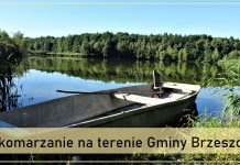 Trwa akcja odkomarzania na terenie Gminy Brzeszcze