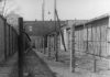 79. rocznica utworzenia KL Auschwitz-Jawischowitz