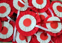 OBCHODY ŚWIĘTA NIEPODLEGŁOŚCI 2021 Z OŚRODKIEM KULTURY W BRZESZCZACH