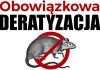 Deratyzacja na terenie Gminy Brzeszcze
