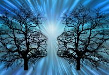 Program poświęcony czynnikom ryzyka i profilaktyce udaru mózgu pt. „Jak ustrzec się udaru mózgu”