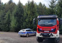 Nieszczęśliwy wypadek przy wycince drzew