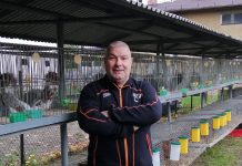 Hodowca z Jawiszowic na podium jesiennej wystawy ptactwa