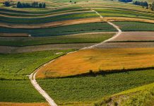 Wkrótce rusza nabór wniosków na ochronę gruntów rolnych