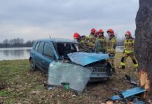 Wypadł z jezdni i uderzył w drzewo
