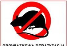 Deratyzacja na terenie Gminy Brzeszcze