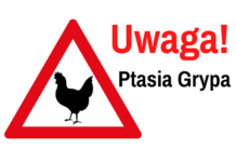 Wojewoda Małopolski uchylił rozporządzenie