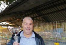 Hodowca z Jawiszowic z kolejnym tytułem