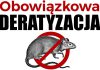 Deratyzacja na terenie Gminy Brzeszcze