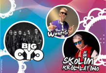 ETNO SKARBY BRZESZCZ – Międzypokoleniowy piknik integracyjny