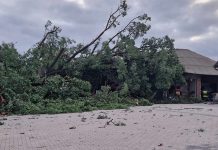 Apel o pomoc dla poszkodowanych w nawałnicach