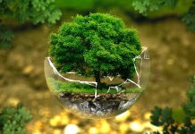 Program ochrony środowiska dla Powiatu Oświęcimskiego na lata 2025-2030