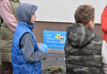 Pola Nadziei w Oświęcimiu – Mieszkańcy Wspierają Hospicjum Sadzeniem Żonkili