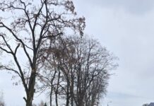 Ponad 400 uczestników na starcie Biegu o Złote Gacie i Złote Gatki w Brzeszczach