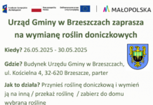 Giełda kwiatowa w Urzędzie Gminy – przynieś, wymień, zabierz rośliny!