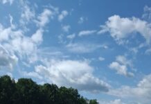 Zapoznanie służb ratowniczych z nową drogą S1