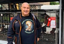 Mieszkaniec Jawiszowic triumfuje na wystawie gołębi w Czechach!