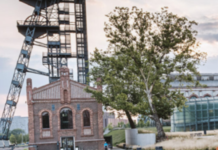 PODRÓŻE KULTURALNE – Wycieczka do Katowic