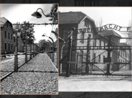UNIWERSYTET TRZECIEGO WIEKU – „KL Auschwitz 1940-1945. Ostatnie dni działania obozu”