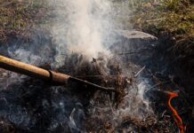 Wyższe kary za spalanie gałęzi, liści i traw