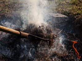 Wyższe kary za spalanie gałęzi, liści i traw