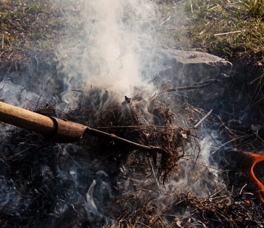Wyższe kary za spalanie gałęzi, liści i traw